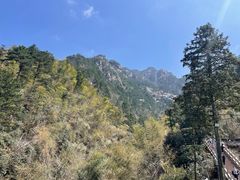 -九华山风景区