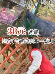 -萌宠亲子动物乐园(槐房万达店)