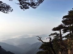 -祁门牯牛降观音堂风景区