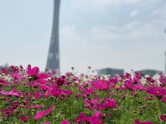 -海心沙亚运公园