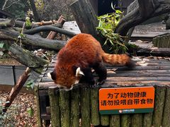 -云南野生动物园