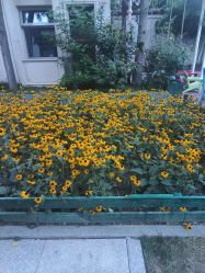 点击看大图 -爱儿美儿童摄影(五路居花园别墅店)