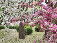 -海棠花溪(元大都城垣遗址公园)