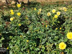 -人民公园(罗湖区)