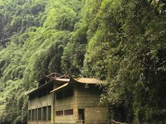 -阿依河景区
