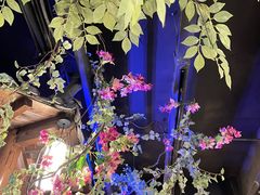 -解家河南菜(金水路店)