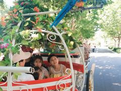 -辛玛王国游乐园