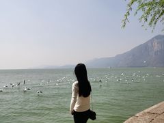 -滇池海埂公园