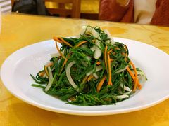 拌沙葱-新疆巴州金丝特餐厅(大钟寺店)