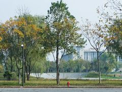 -东南大学(九龙湖校区)
