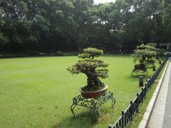 -申粤轩酒楼·三十年粤菜经典(丁香花园店)