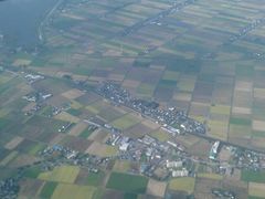 -全日本空输株式会社(上海办事处)