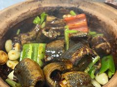 生啫黄鳝-天宝食坊·啫啫煲大排档(西华路店)