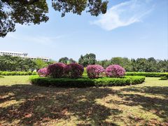 -上海大学(宝山校区)