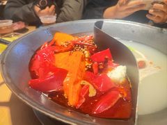 -阳阳老火锅(小南门店)