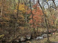 -玉渡山自然风景区