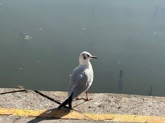 -滇池海埂公园