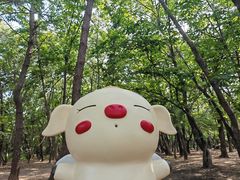 -日照海滨国家森林公园