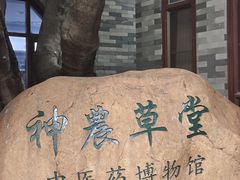 -广州神农草堂中医药博物馆