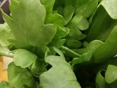 -新辣道鱼火锅(西直门店)