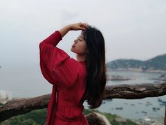 -枸杞岛