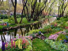 -上海共青森林公园