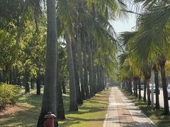 -三亚亚龙湾金棕榈度假酒店