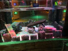 -沈阳海洋探索中心