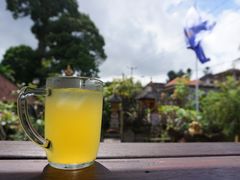 -Warung Babi Guling Ibu Oka 3