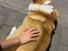 -阿木舂记·特色小吃(平江路店)