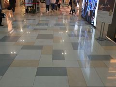 -鹏欣水游城