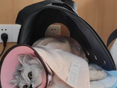 -联合动物医院(光谷诊疗中心)