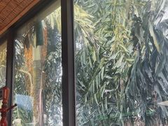 -先机泉水鸡汤(南山老君洞店)