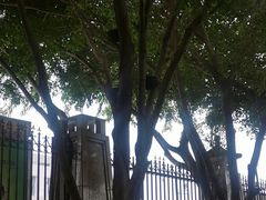 -福神岗公园