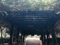 -九龙潭景区