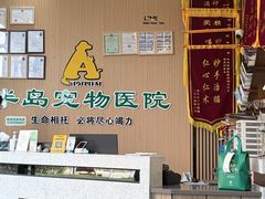 -半岛宠物医院24小时·内窥镜·牙科·碎石中心(府城大道店)