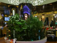 -润园四季椰子鸡火锅(海上世界店)