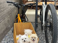 -出走咖啡·面包(宋庄店)
