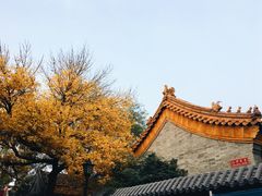 -VOYAGE COFFEE(北锣鼓巷店)