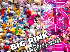 -BIG PINK大粉娃娃机主题馆(圆融星座店)