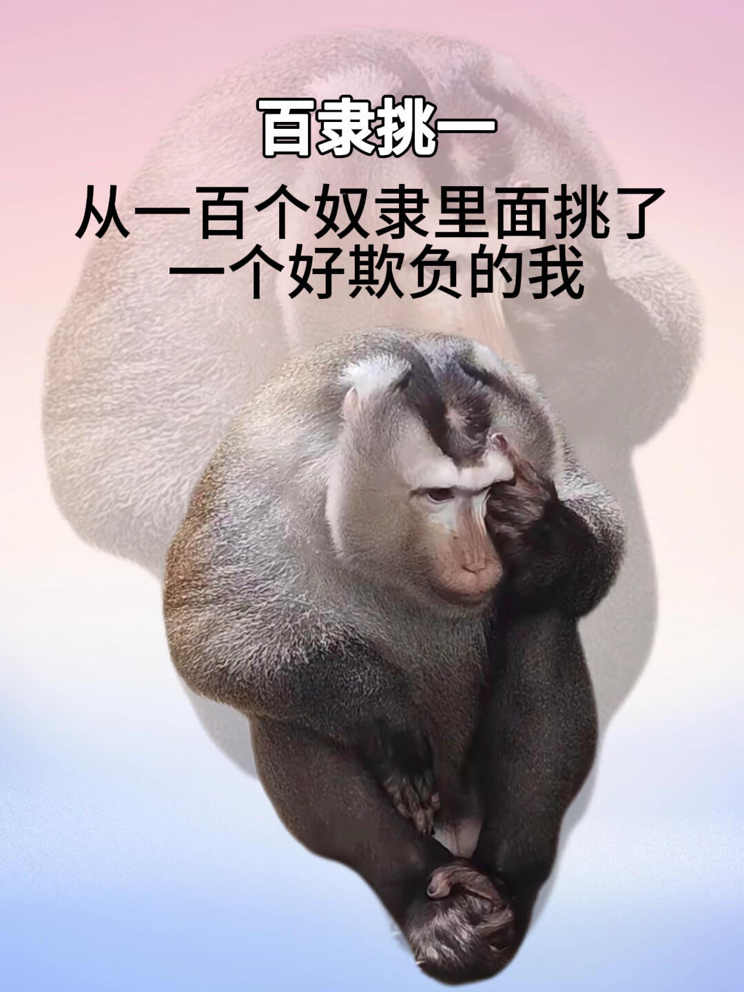 职场上用的成语大全(形容职场的成语有哪些)