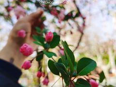 -永乐路-路侧停车场