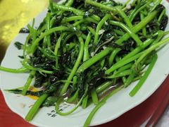 -农家老屋药根鸡