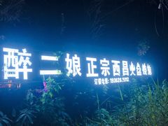 -醉二娘正宗西昌火盆烧烤(大丰店)