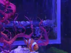 -海合安青岛极地海洋公园