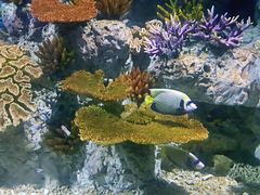 -福州罗源湾海洋世界旅游区