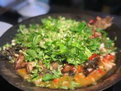 -不炭白烧烤(成都首店)