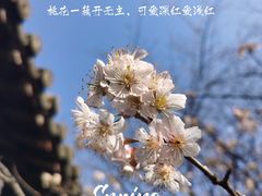 -杭州植物园