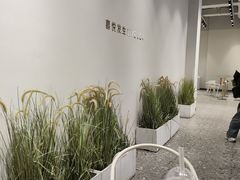 -喜茶(广州石牌桥店)