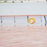 上海西岸美术馆